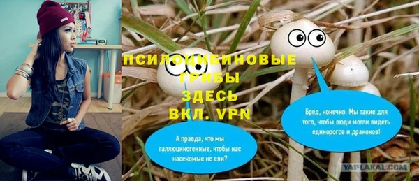 хмурый Кукмор