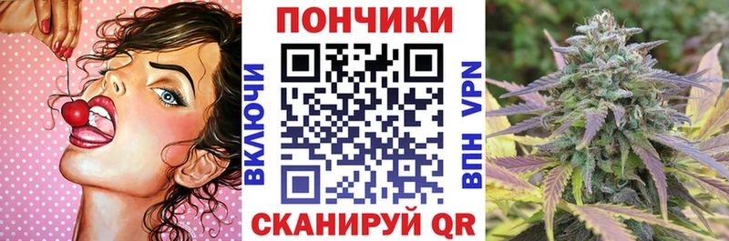 Марихуана сатива Сясьстрой